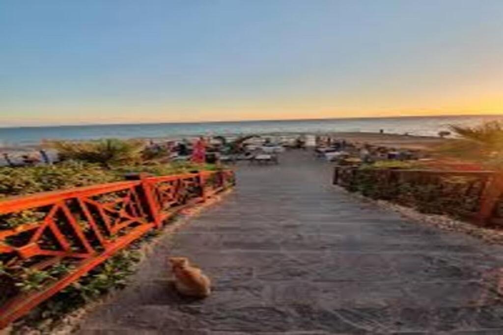 Appartement Vue Panoramique Sur L Ocean! Ideal Pour Surf!pres De Taghazout *
